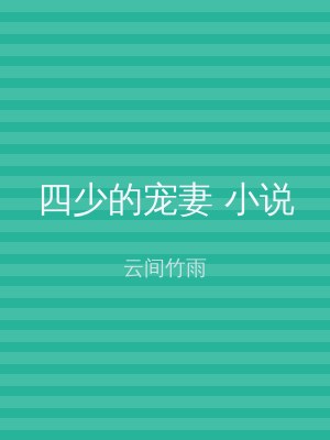 四少的宠妻 小说