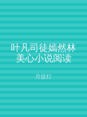 叶凡司徒嫣然林美心小说阅读
