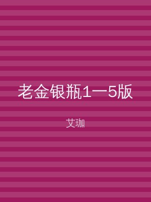 老金银瓶1一5版