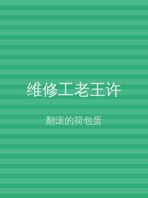 维修工老王许