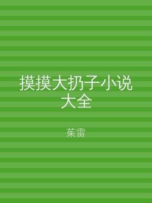 摸摸大扔子小说大全