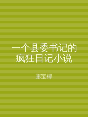一个县委书记的疯狂日记小说