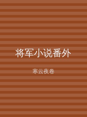 将军小说番外