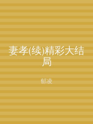 妻孝(续)精彩大结局