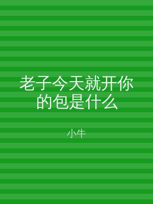 老子今天就开你的包是什么