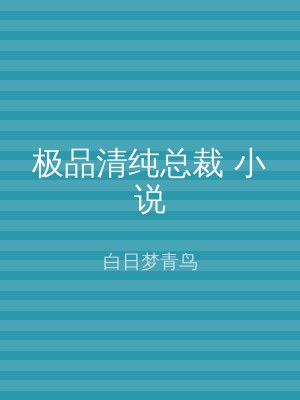 极品清纯总裁 小说