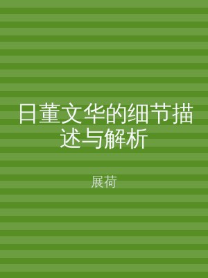 日董文华的细节描述与解析
