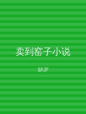 卖到窑子小说