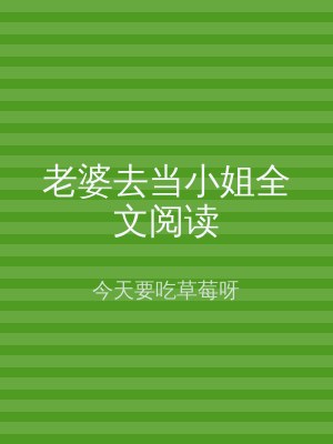 老婆去当小姐全文阅读