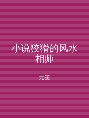 小说狡猾的风水相师