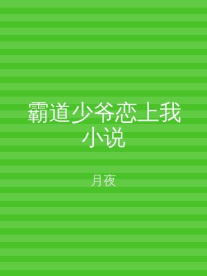 霸道少爷恋上我小说