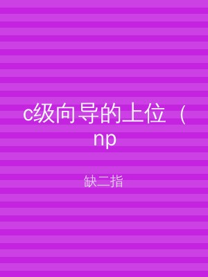 c级向导的上位（np