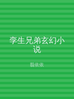 孪生兄弟玄幻小说
