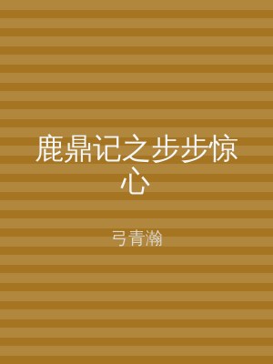 鹿鼎记之步步惊心