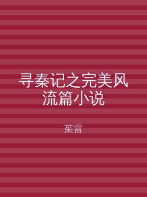 寻秦记之完美风流篇小说