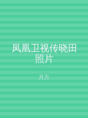 凤凰卫视传晓田照片