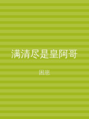 满清尽是皇阿哥