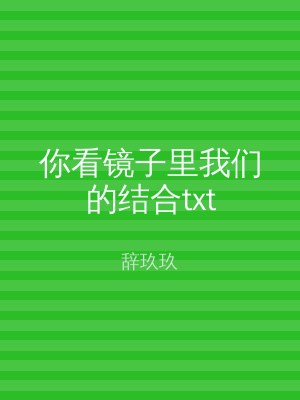 你看镜子里我们的结合txt