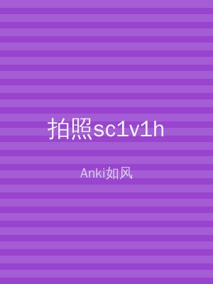 拍照sc1v1h