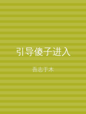 引导傻子进入