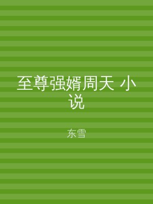 至尊强婿周天 小说
