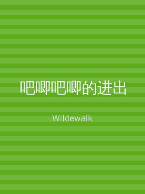 吧唧吧唧的进出
