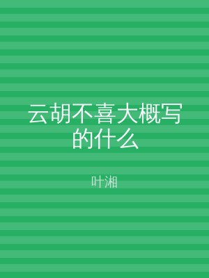 云胡不喜大概写的什么