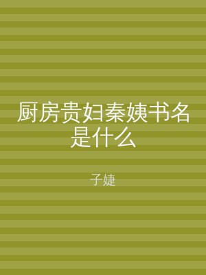 厨房贵妇秦姨书名是什么