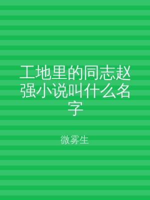 工地里的同志赵强小说叫什么名字
