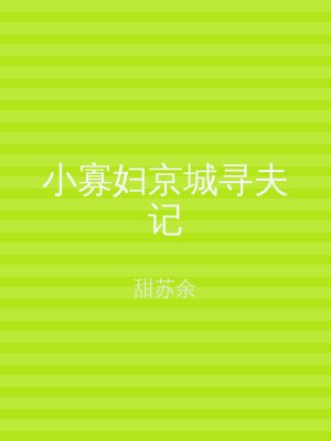 小寡妇京城寻夫记