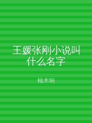 王媛张刚小说叫什么名字