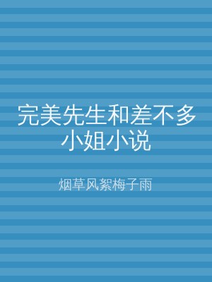 完美先生和差不多小姐小说