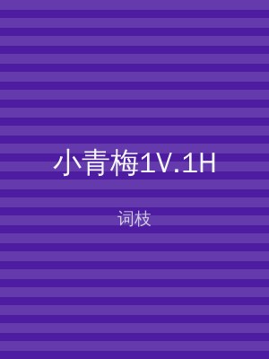 小青梅1V.1H