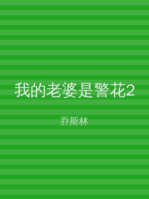 我的老婆是警花2