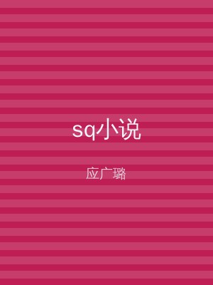 sq小说
