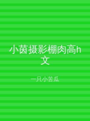 小茵摄影棚肉高h文