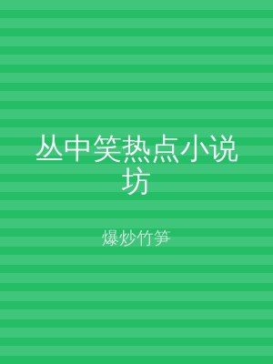 丛中笑热点小说坊