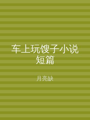 车上玩馊子小说短篇
