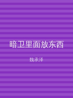 暗卫里面放东西