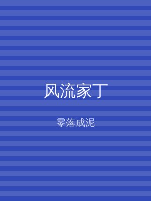 风流家丁
