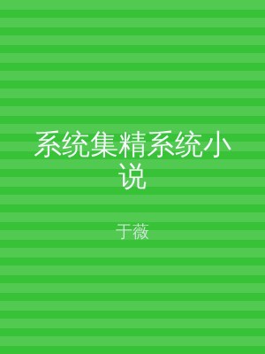 系统集精系统小说