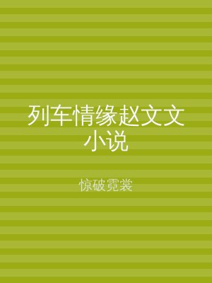 列车情缘赵文文小说