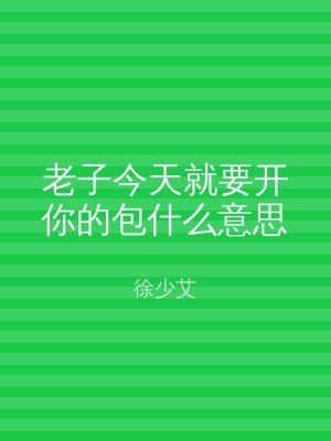 老子今天就要开你的包什么意思