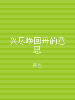 兴尽晚回舟的意思