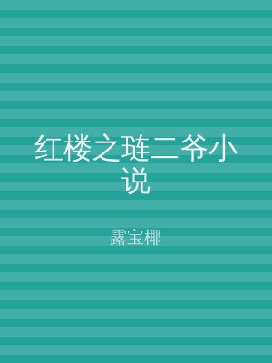 红楼之琏二爷小说