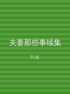 夫妻那些事续集