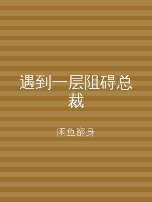 遇到一层阻碍总裁