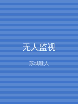 无人监视