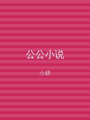公公小说