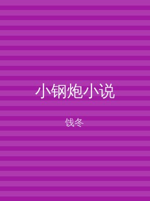 小钢炮小说